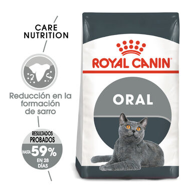 Royal Canin Adult Oral pienso para gatos